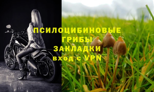 гидра Алексеевка